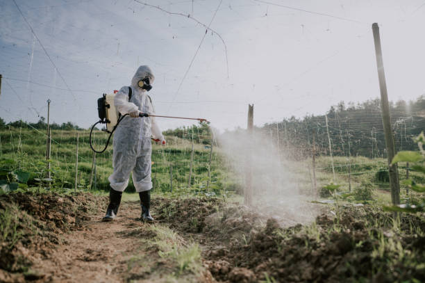 Professional Pest Control in Perkasie, PA
