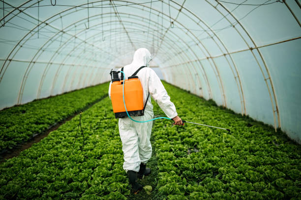 Best Pest Prevention Services  in Perkasie, PA