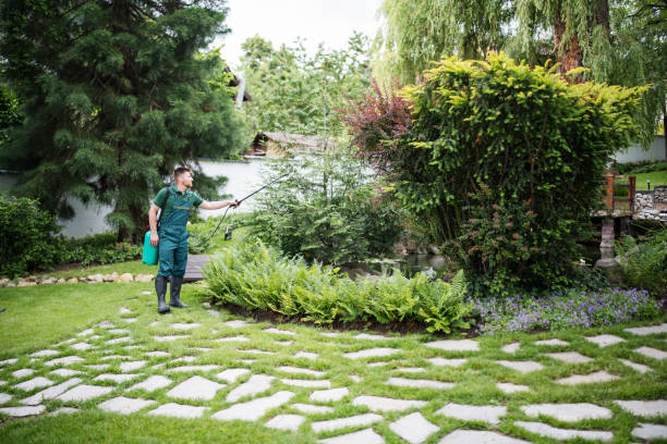 Best Local Pest Control Services  in Perkasie, PA