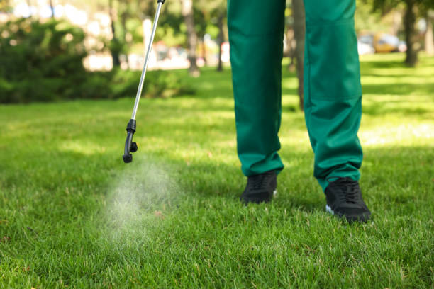 Best Flea Control Services  in Perkasie, PA