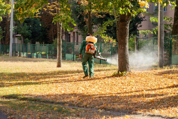 Best Best Pest Control Companies  in Perkasie, PA