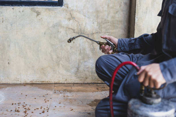 Best Emergency Pest Control  in Perkasie, PA